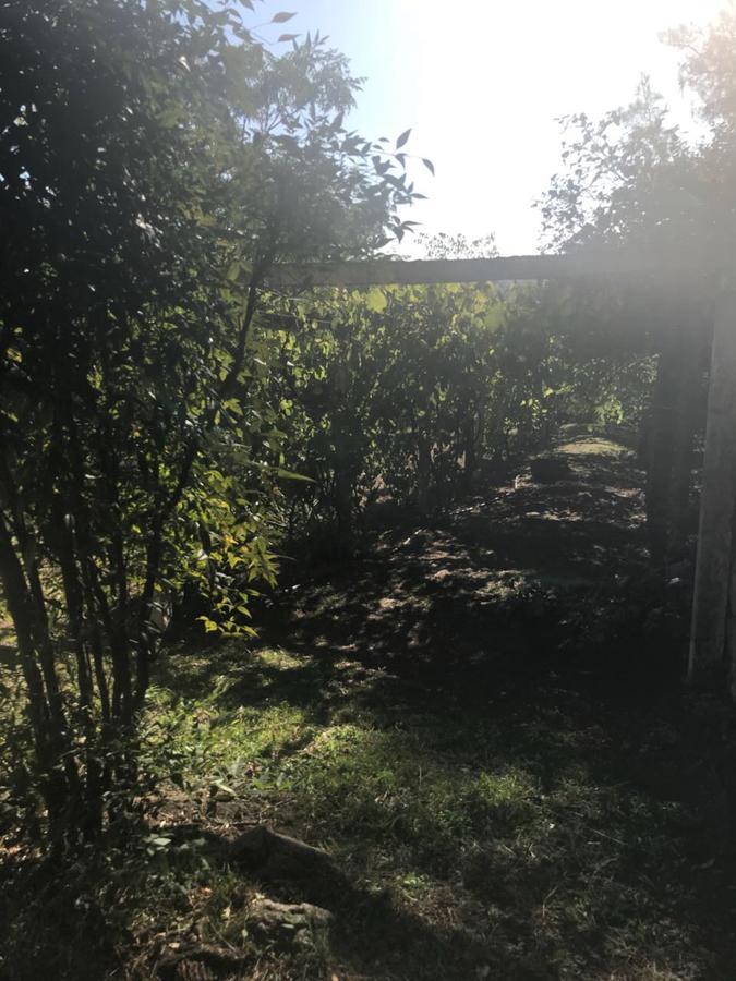 Villa Anedé Río Ceballos Exterior foto